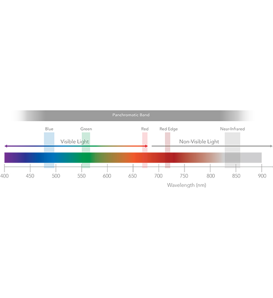 5 Multispectral bands