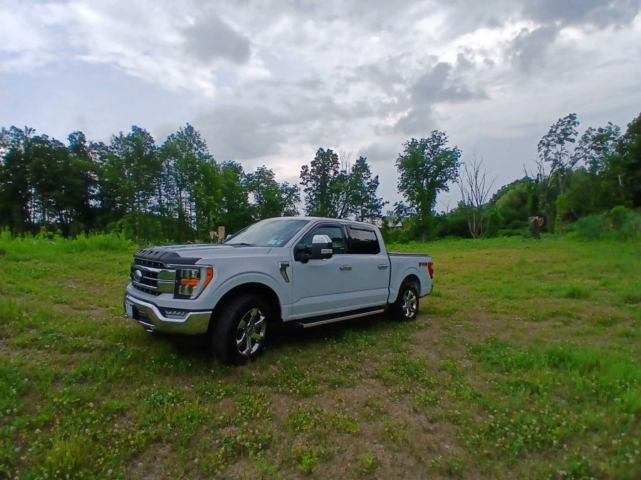 White Ford F-150 exterior in grassy field
