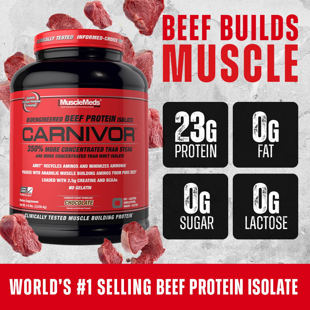 Free muscle building supplement samples