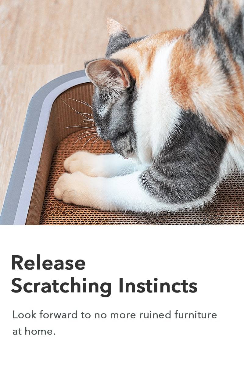 Release Scratching Instincts