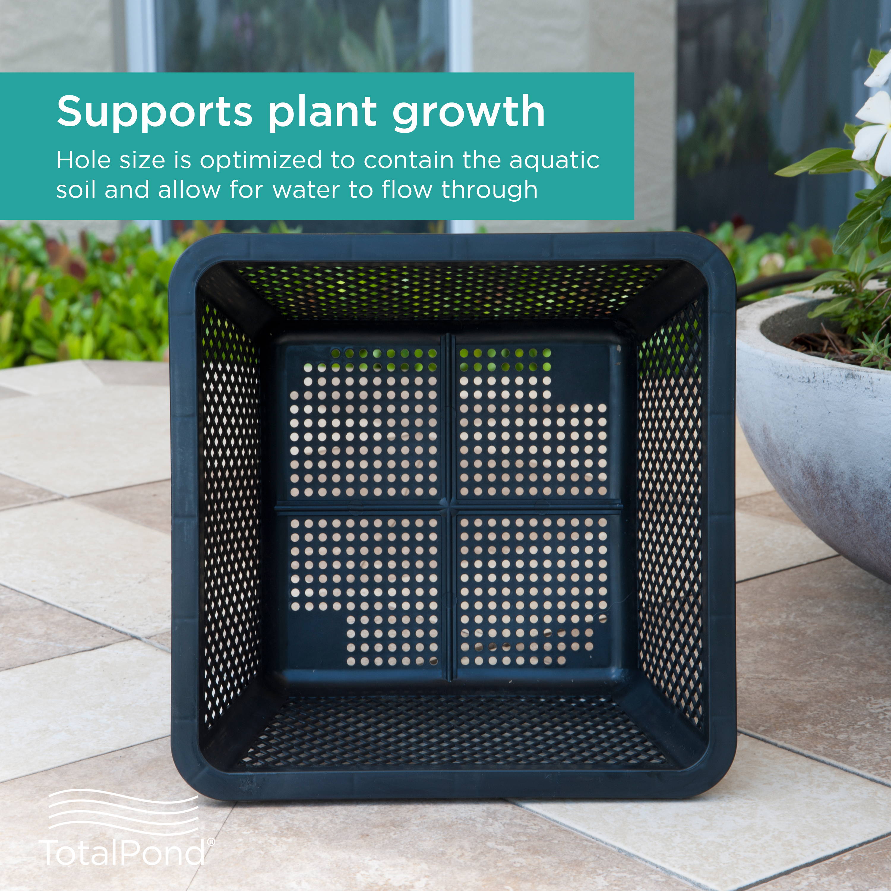 Plant Basket supports plant growth