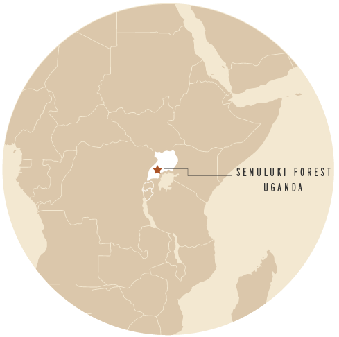 Map of Semuliki Forest, Uganda