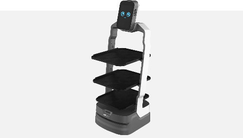 Restaurant Robot Servers
