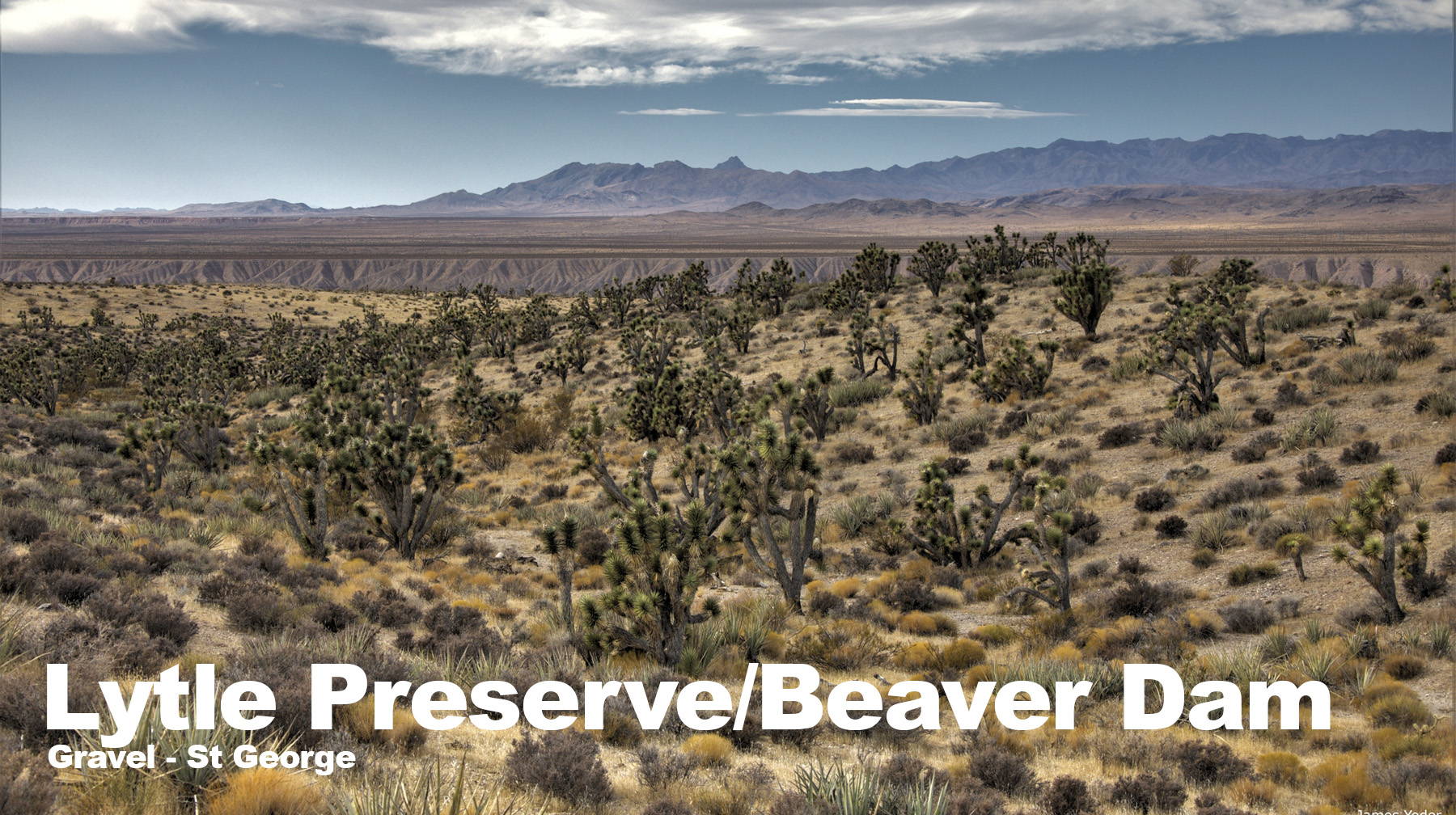 Lytle Preserve and Beaver Dam Wash