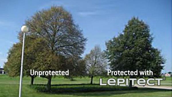 Protected with Lepitect