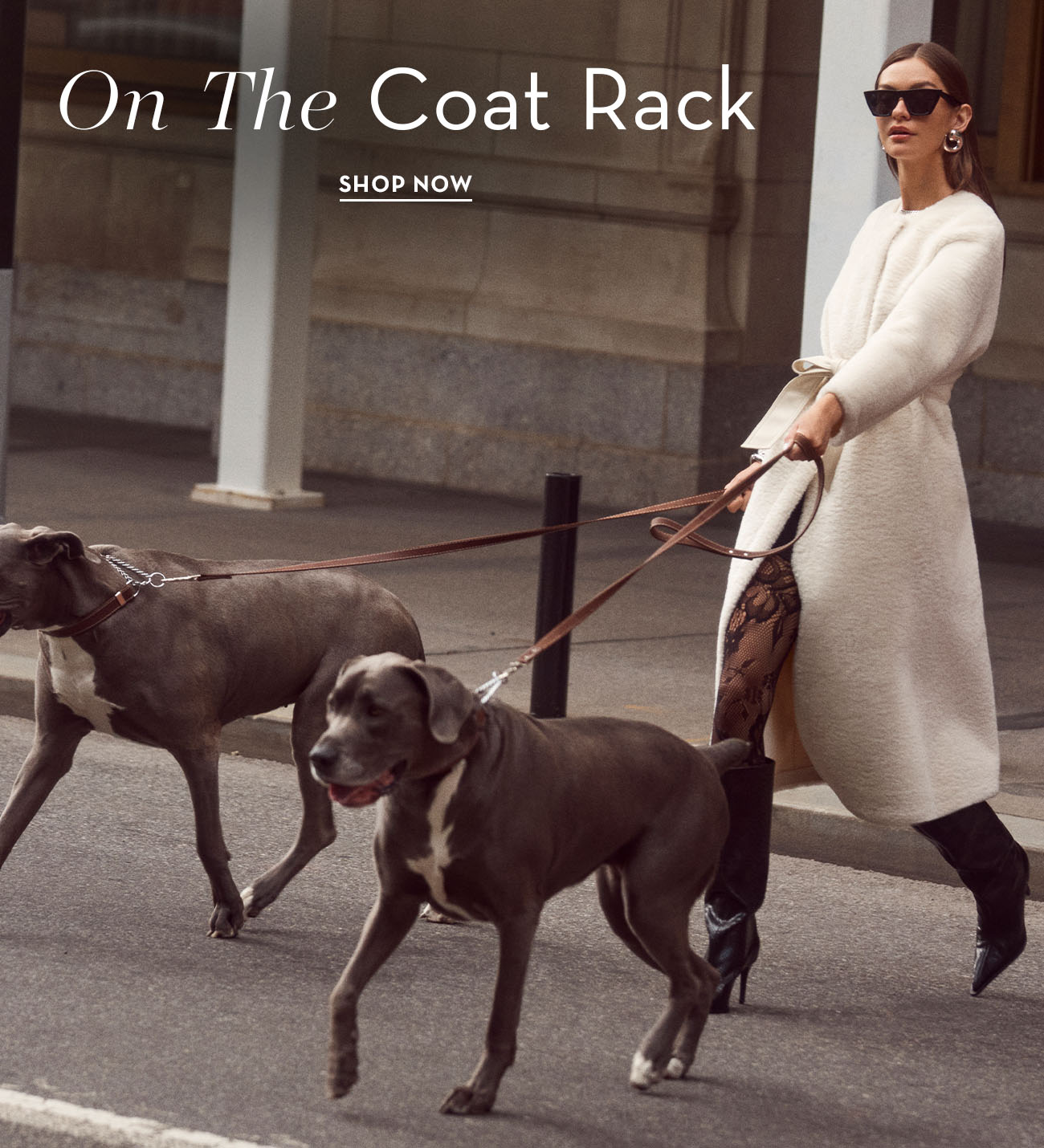 Woman walking two dogs in stylish attire on city street.