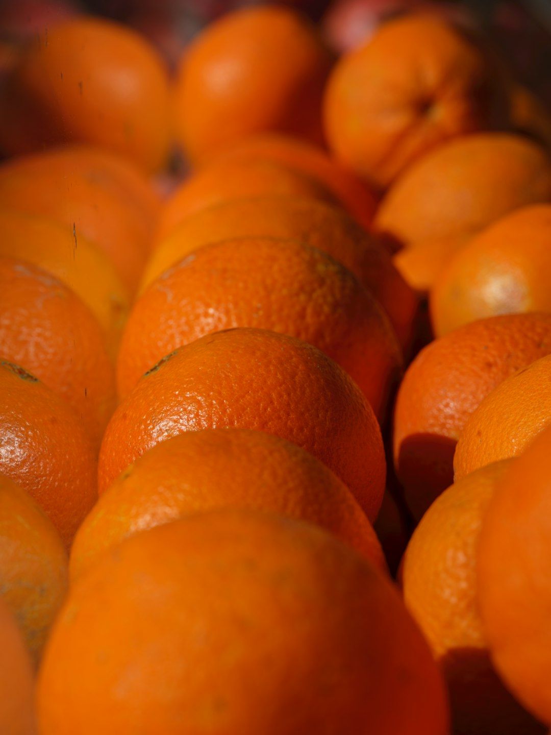 Close-up view of many ripe oranges in rows.