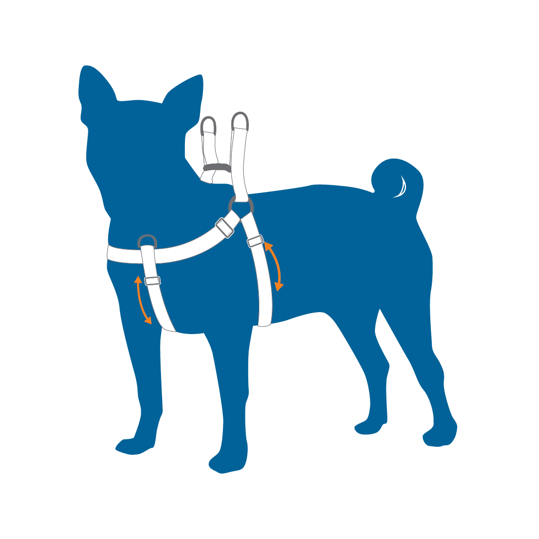 A blue silhouette of a dog wearing a harness.