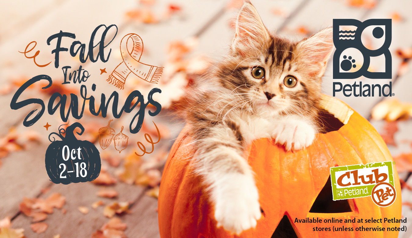Fall Into Savings available online and at select Petland stores October 2 to 18, 2026 (unless otherwise noted).