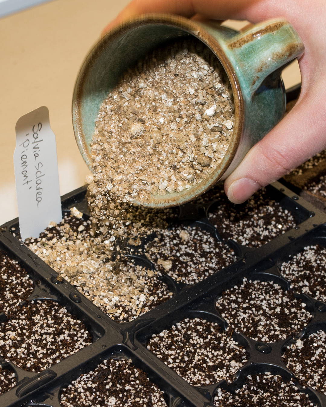 Sprinkling vermiculite over the surface