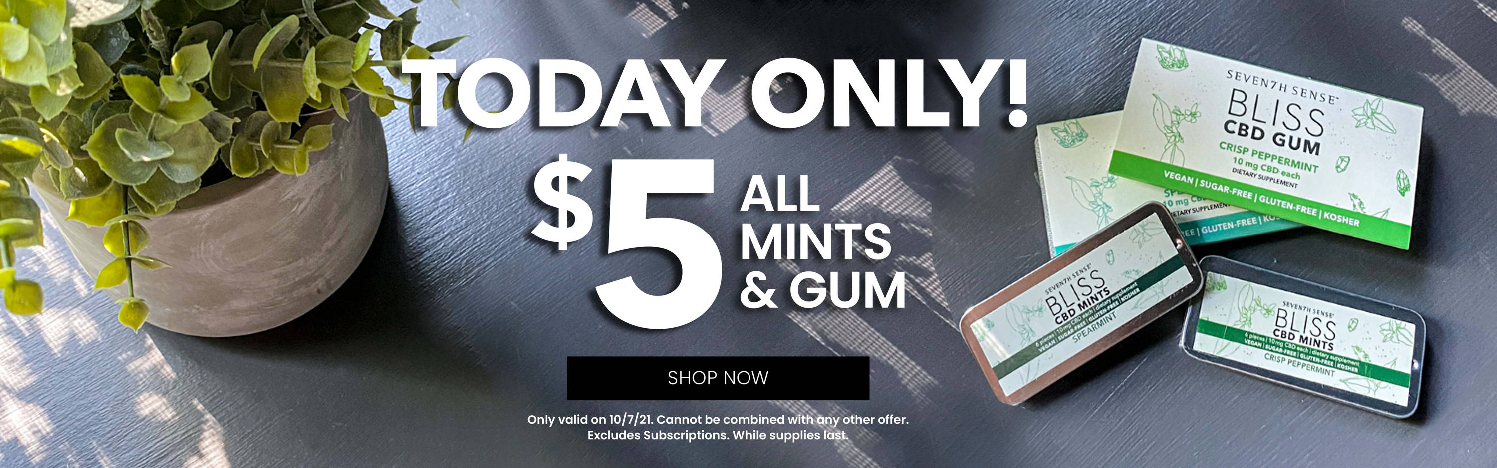 Today Only! 5 Dollar Gum and Mints