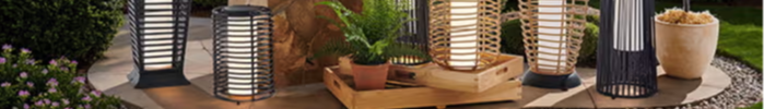 Outdoor scene with decorative lanterns and plants.