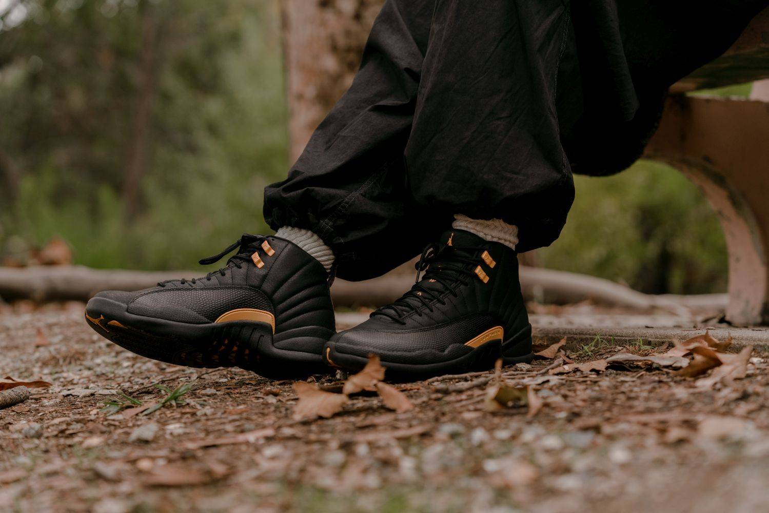 Black Taxi' Air Jordan 12 Releases Next Week