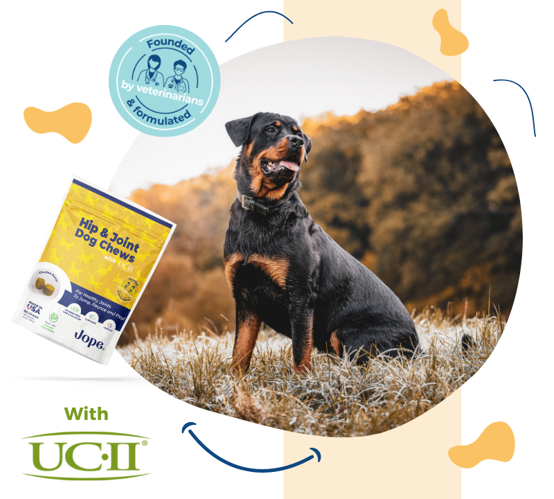Collagen Hip and joint supplement for Rottweilers
