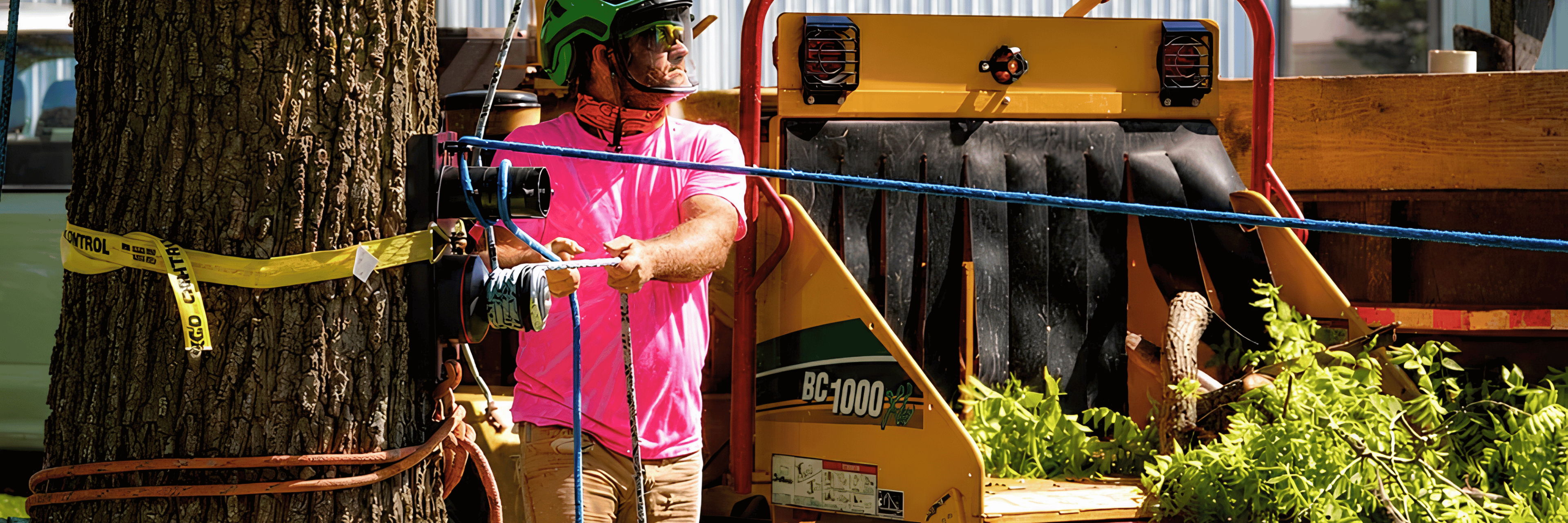 Person in pink shirt working with equipment near a tree.