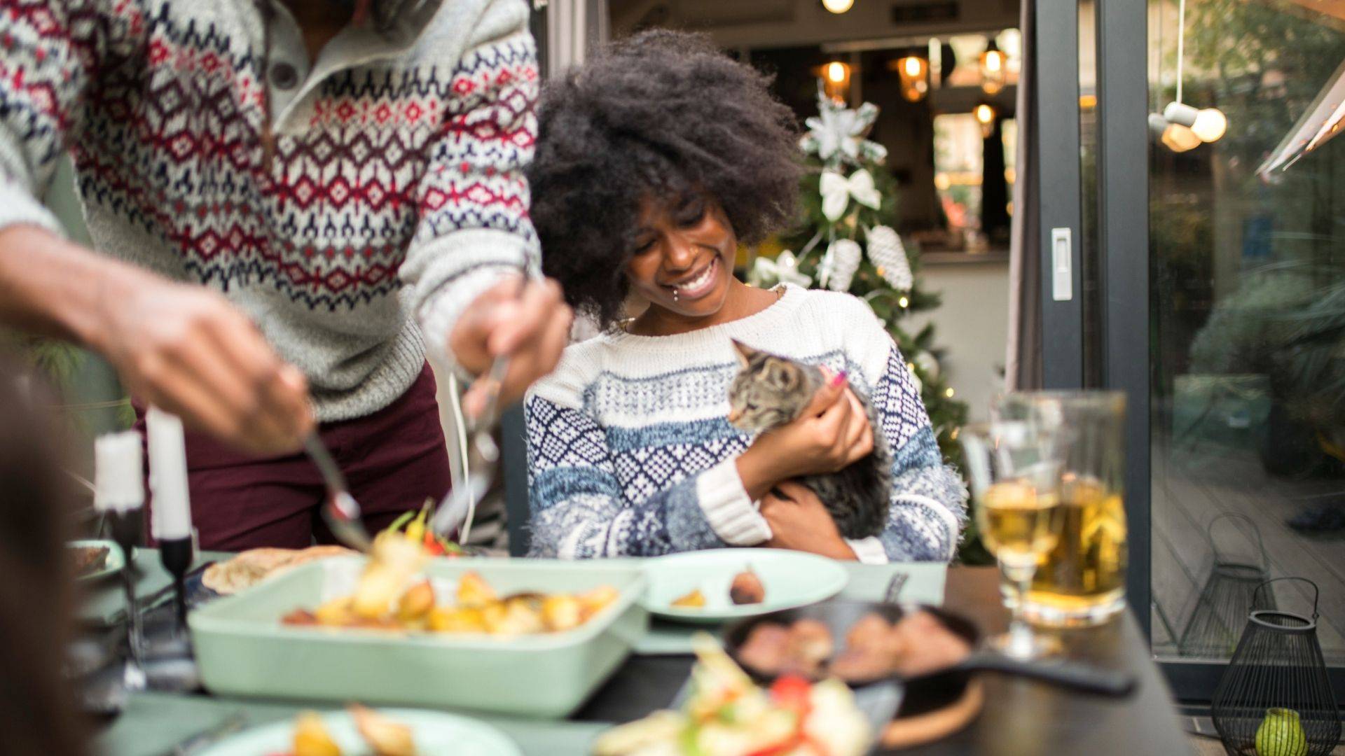 dinner with cats