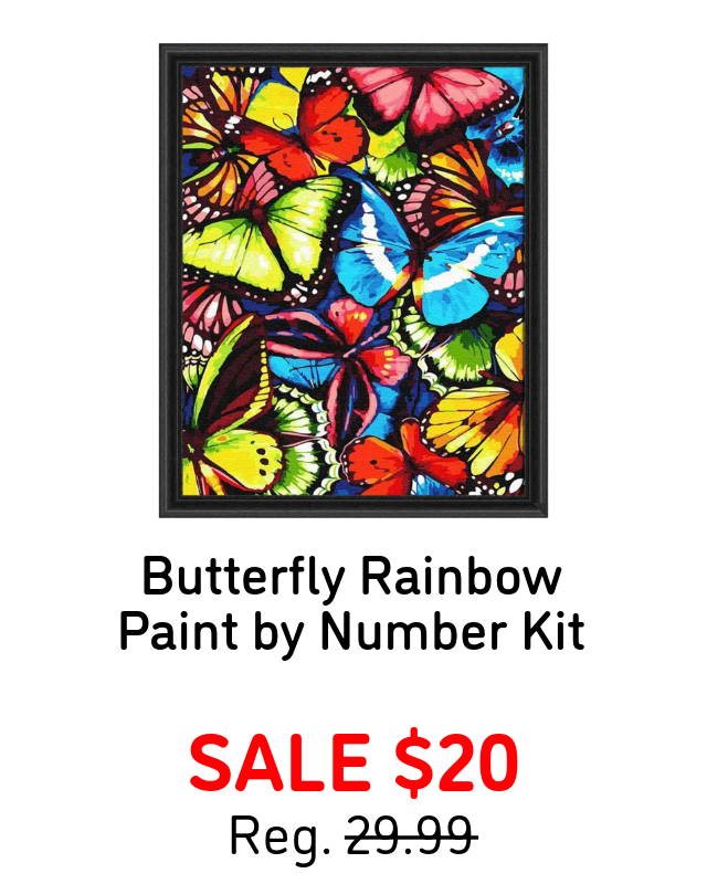 Butterfly Rainbow Paint by Number - Sale $20. (shown in image).