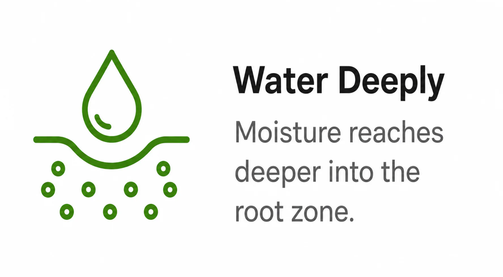Water deeply: Moisture reaches deeper into the root zone.