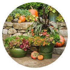 Fall Scene of Fun and Games® Hopscotch - Foamy Bells and Creme Brulee