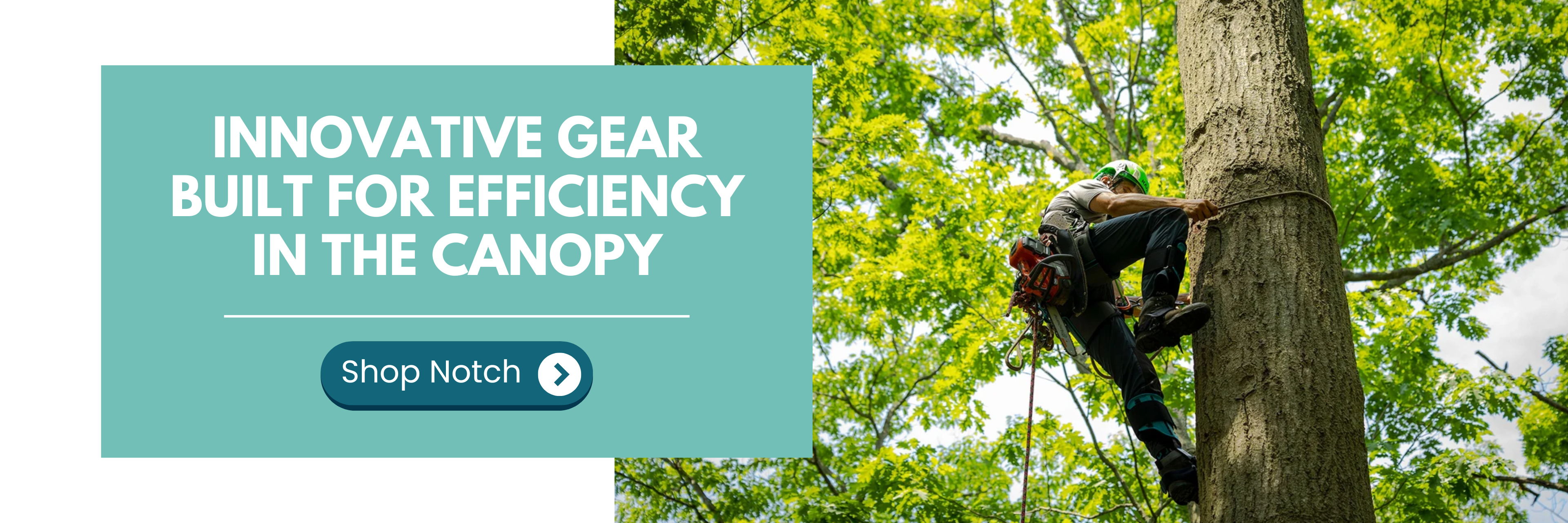 Person climbing a tree with innovative gear among green leaves.
