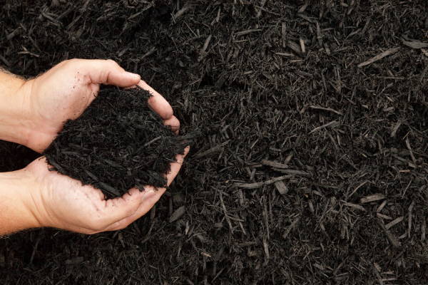 ADD MULCH TO YOUR PLANTS