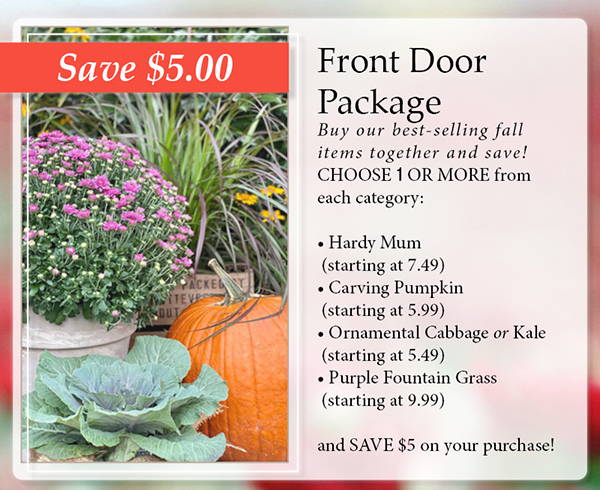 Front Door Package - Save $5 when you buy our best-selling fall items together! Buy 1 or more from each category and save $5 on your purchase. Choose from: Hardy Mums starting at $7.49, Carving Pumpkins starting at $5.99, Ornamental Cabbage or Kale starting at $5.49, and Purple Fountain Grass starting at $9.99.