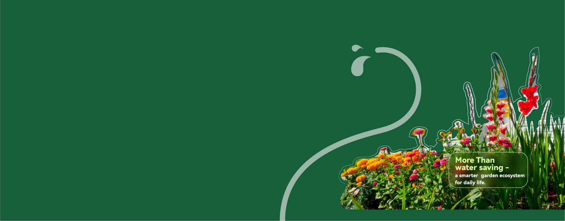 Colorful flowers on a green background with a curvy white line.