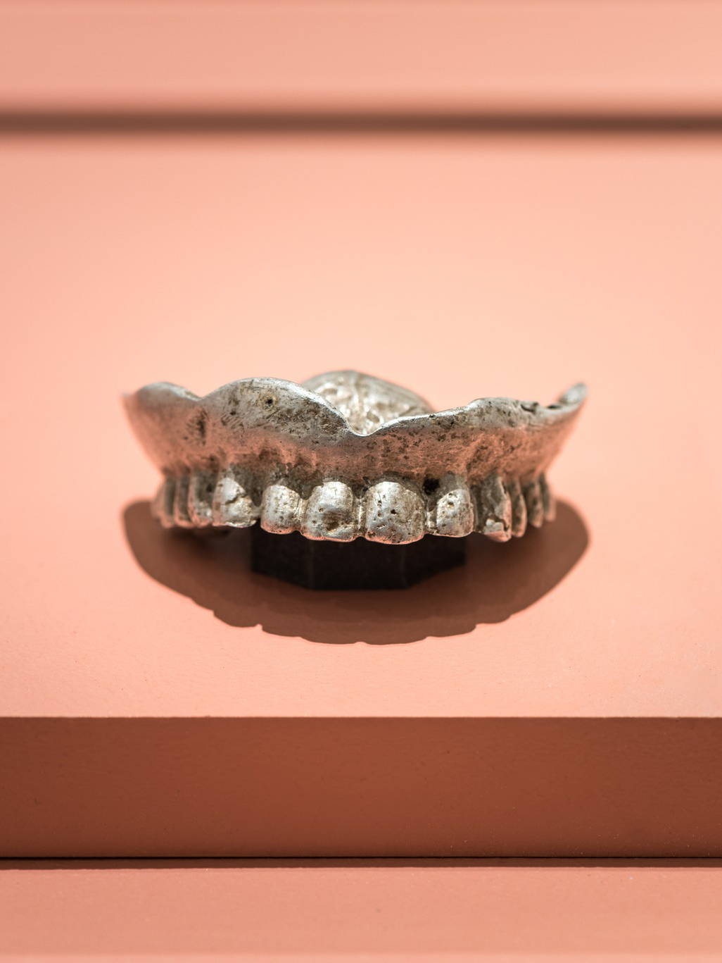 Teeth at Wellcome Collection l Featured on This Week's Discoveries, a weekly blog from the team of handmade jewellery brand Wolf & Moon.