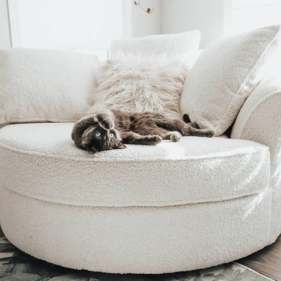 Calgary Nest Chair