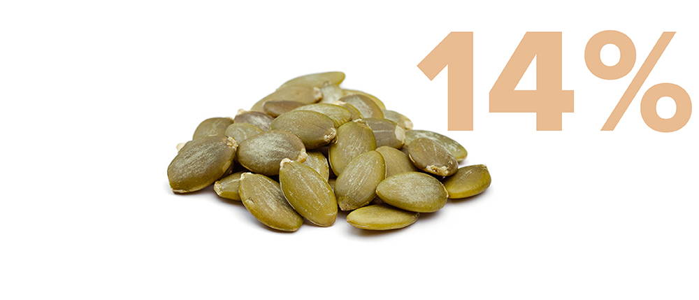 image of pumpkin seed with 14%
