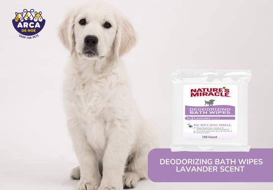 Nature's Miracle Deodorizing Lavender Scent Bath Wipes for Dogs, Count of  100