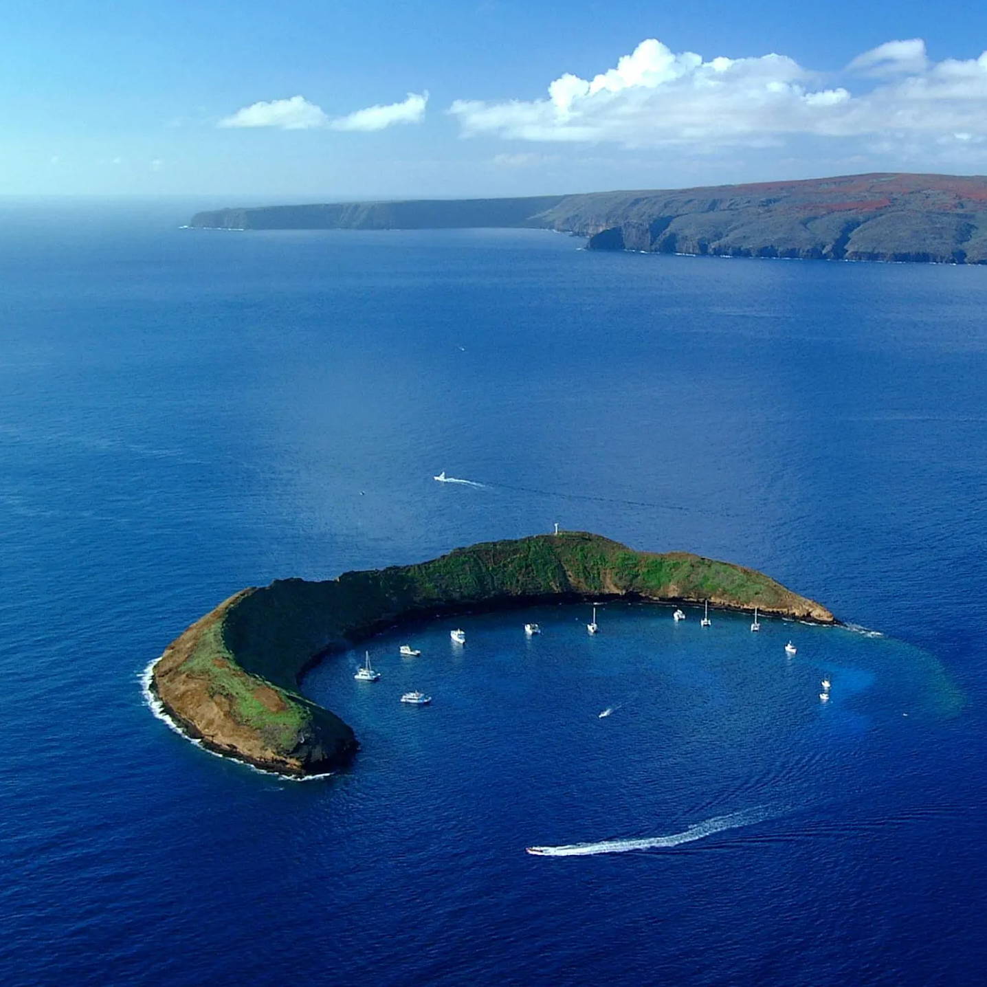 snorkeling excursions on maui