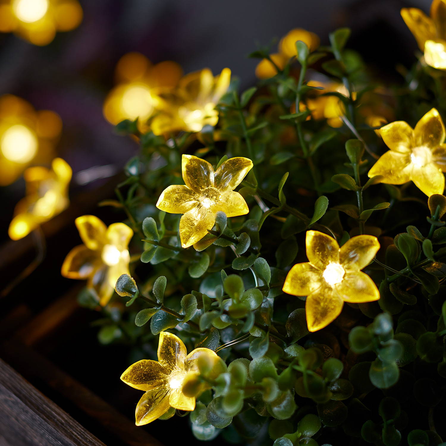 Yellow flower micro lights illuminated and entwined within greenery in garden