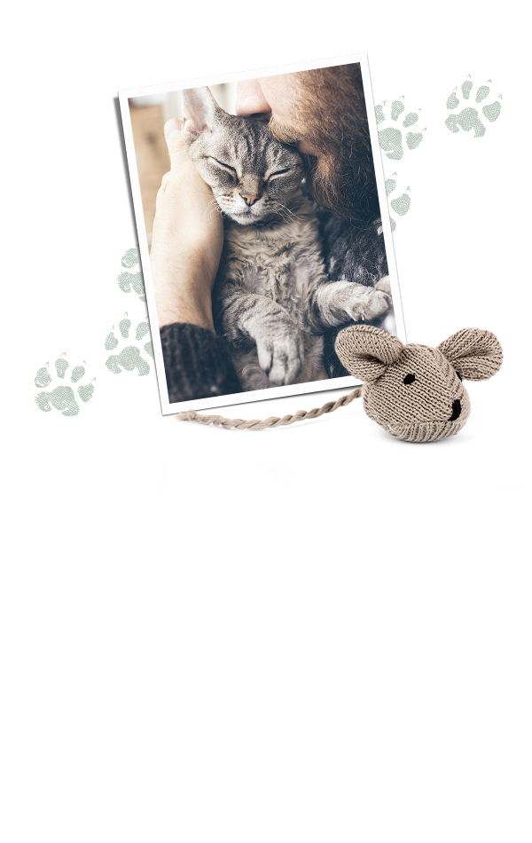 photo of cat with its owner