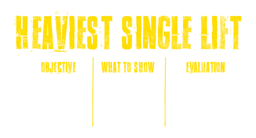 Heaviest Single Lift