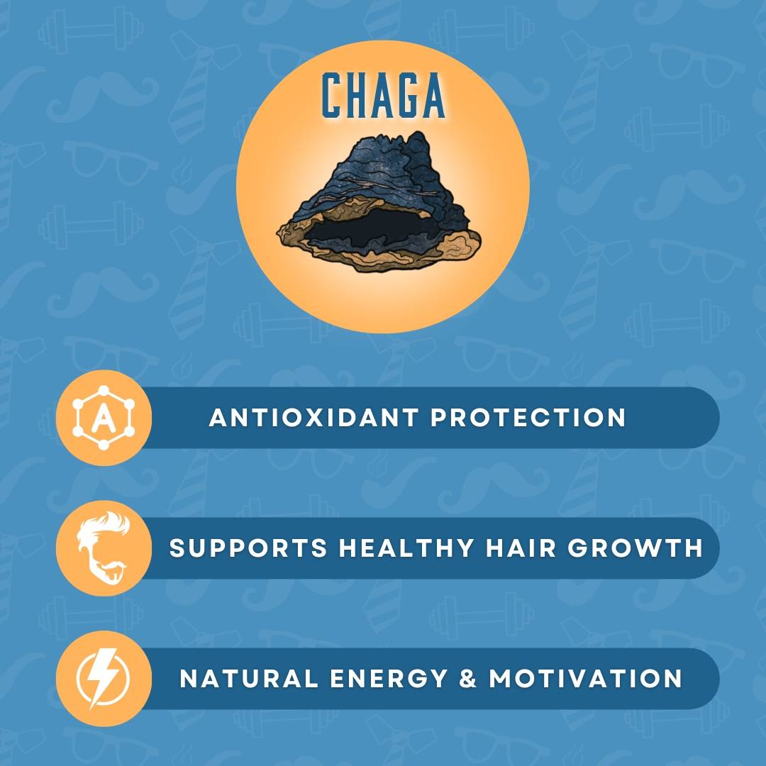 Chaga Mushroom Infographic, blue and orange. Reads, Chaga - Antioxidant protection, supports healthy hair growth, natural energy & motivation