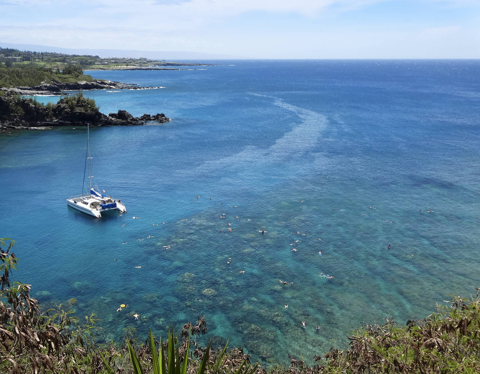 Warm tropical snorkeling tours