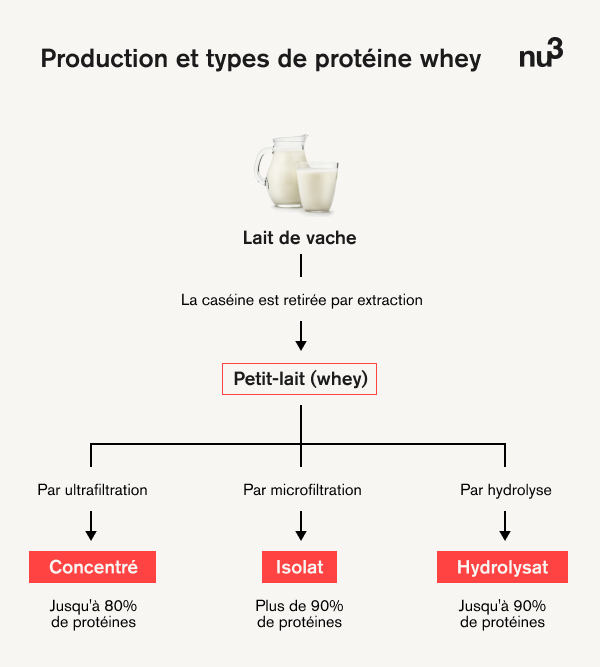 Fabrication et types de protéines de whey