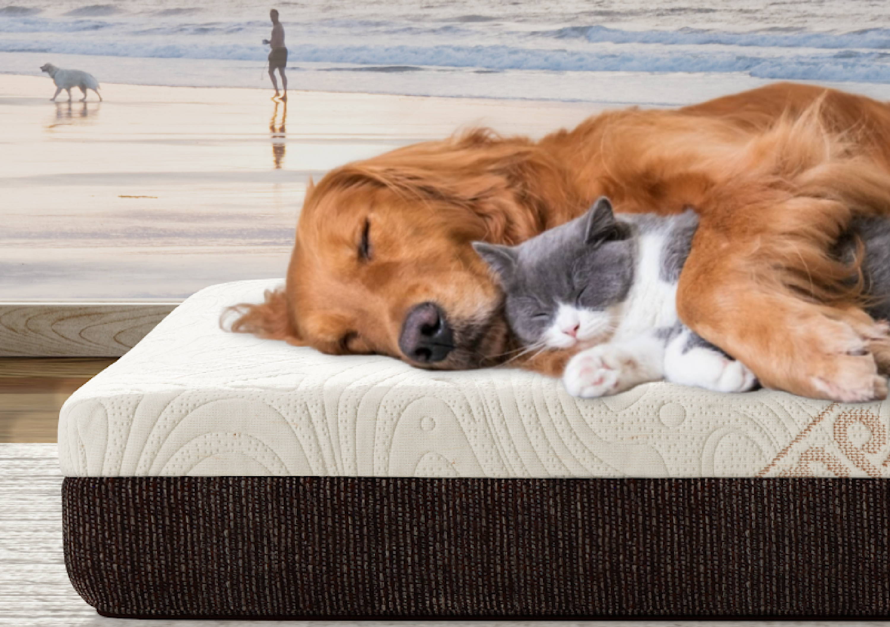 Close up of a dog and cat comfortably snuggling on a Cannabliss pet bed