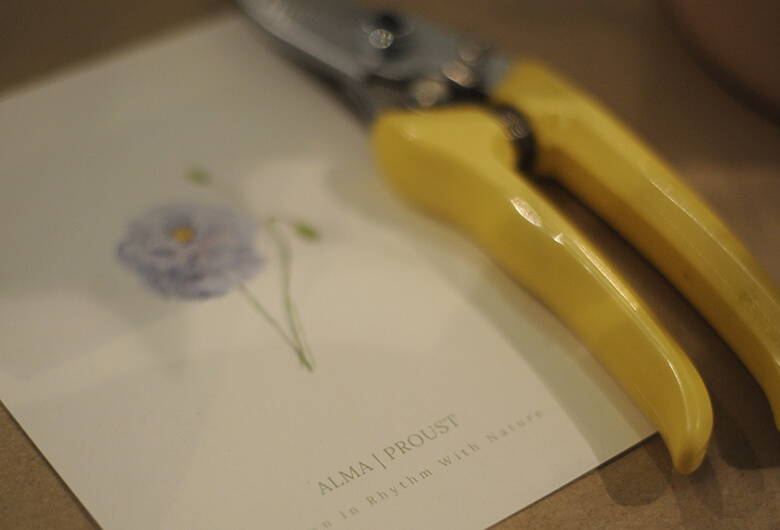 A pair of secateurs next to a printed Alma Proust 