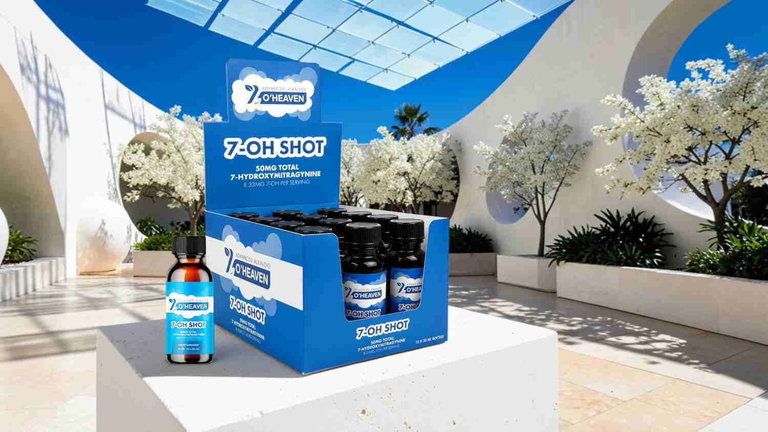 Display of dietary supplement bottles in a bright, modern setting.