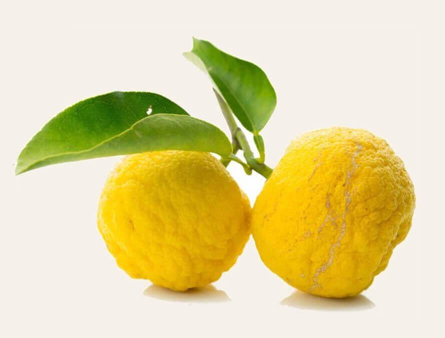 Hermosos y brillantes limones silvestres: ingrediente clave de Manjish Glow Elixir
