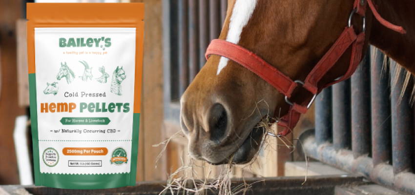 Image of a calm horse eating, accompanied by Bailey's Cold Pressed Hemp Pellets, illustrating the quality of the product.