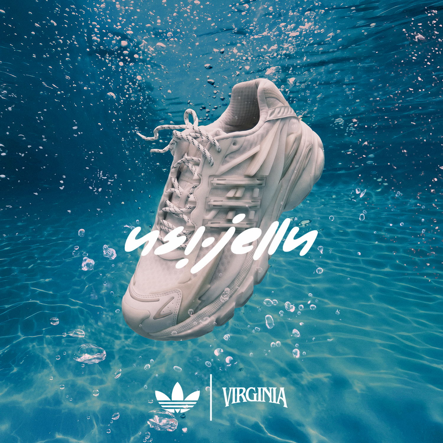 Adidas sneaker submerged in water with text overlay.