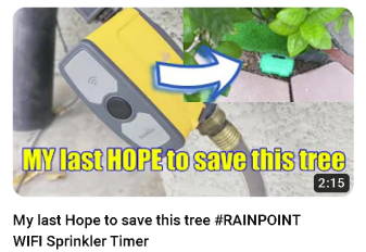 My last Hope to save this tree #RAINPOINT WIFI Sprinkler Timer