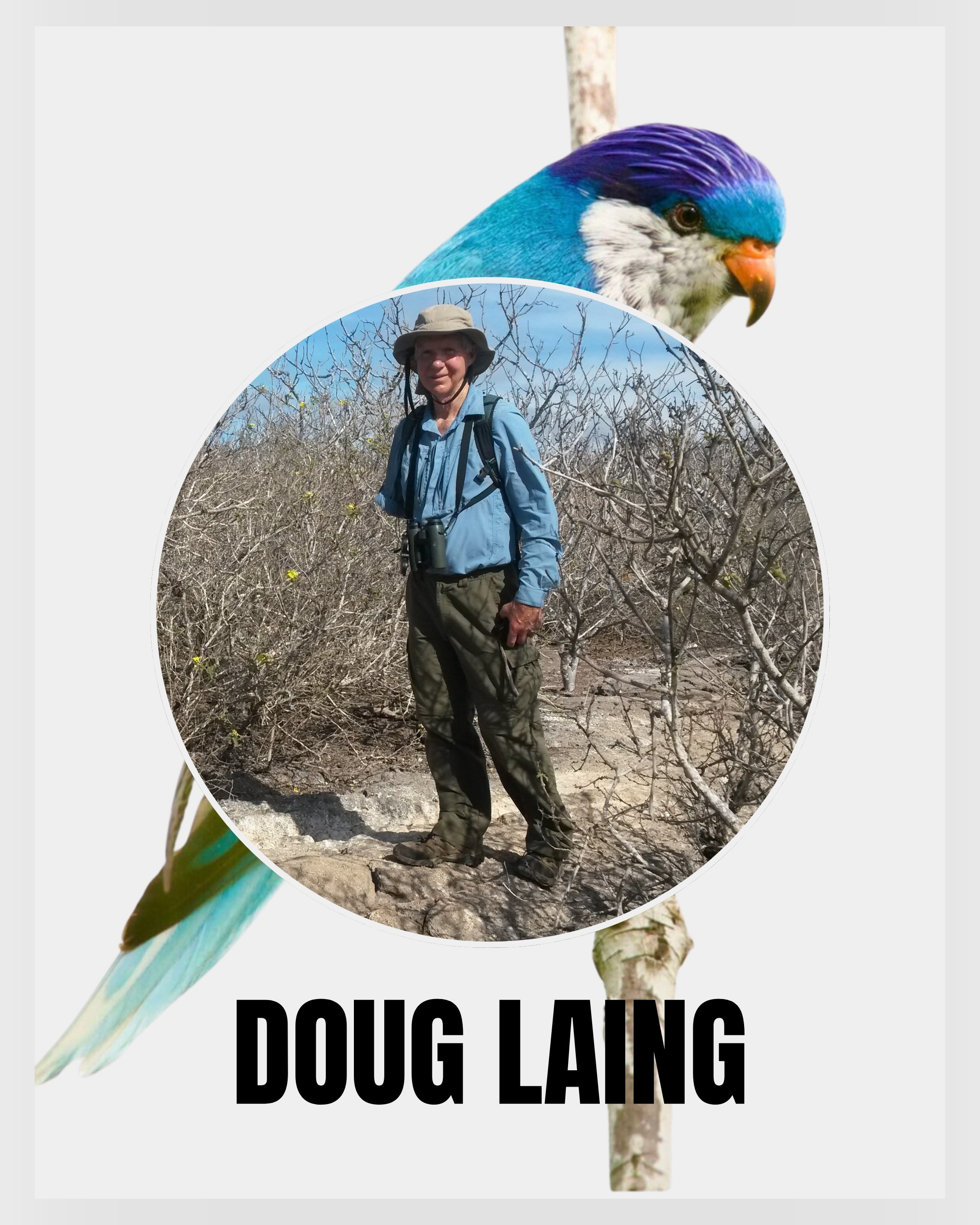 Doug Laing | A Life With Birds | Bird Tales by LYFER