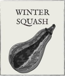 Jump down to winter squash growing guide