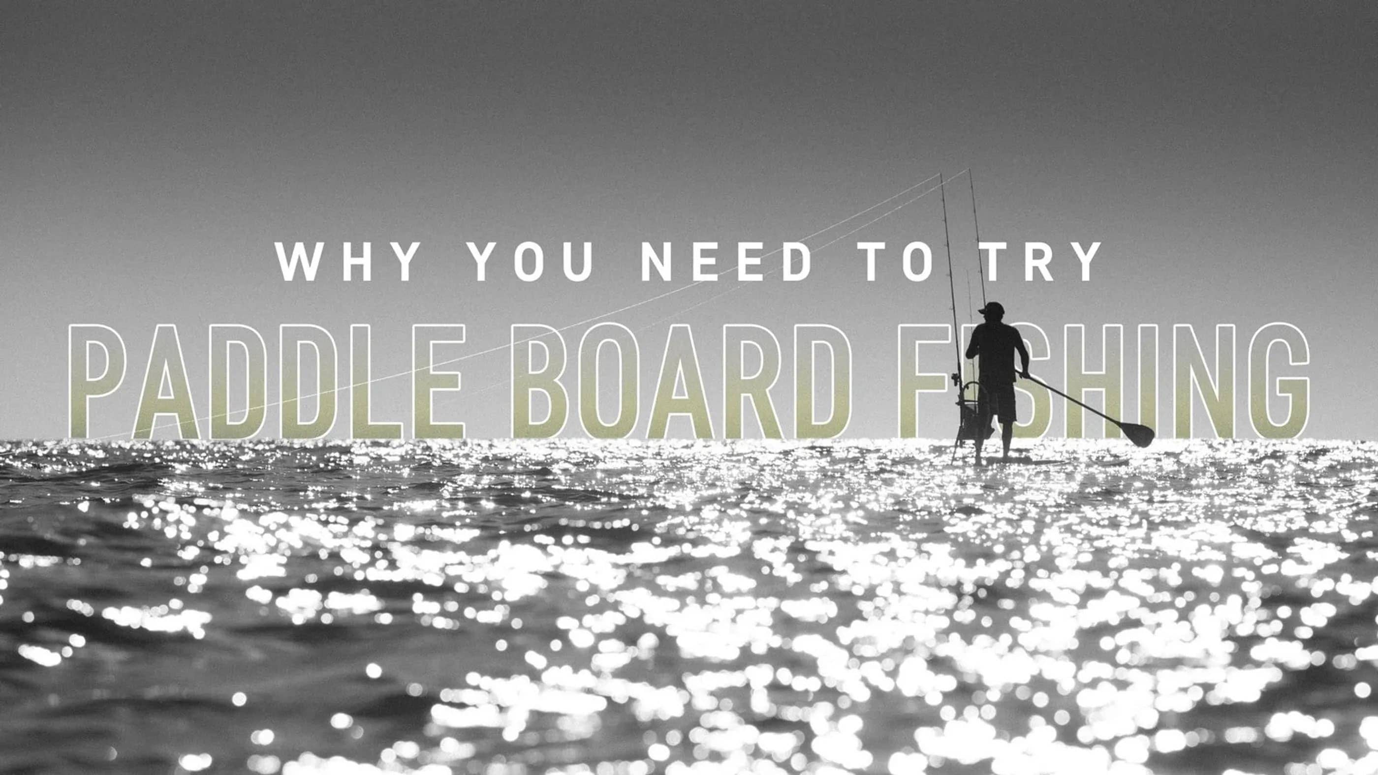 Why You Need to Try Paddle Board Fishing