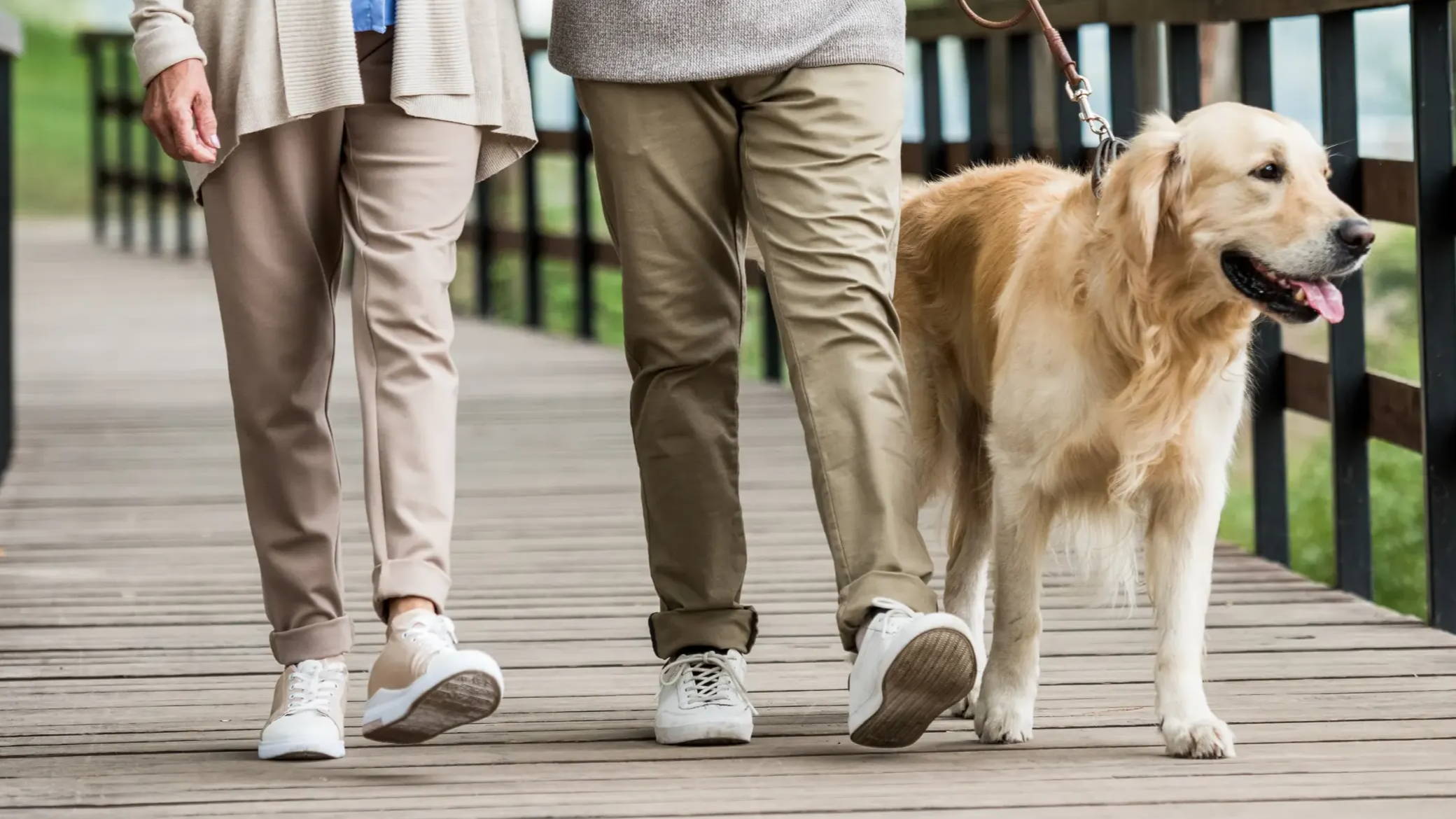Older couple walking their dog. Diabetes and exercise. Nerve pain.
