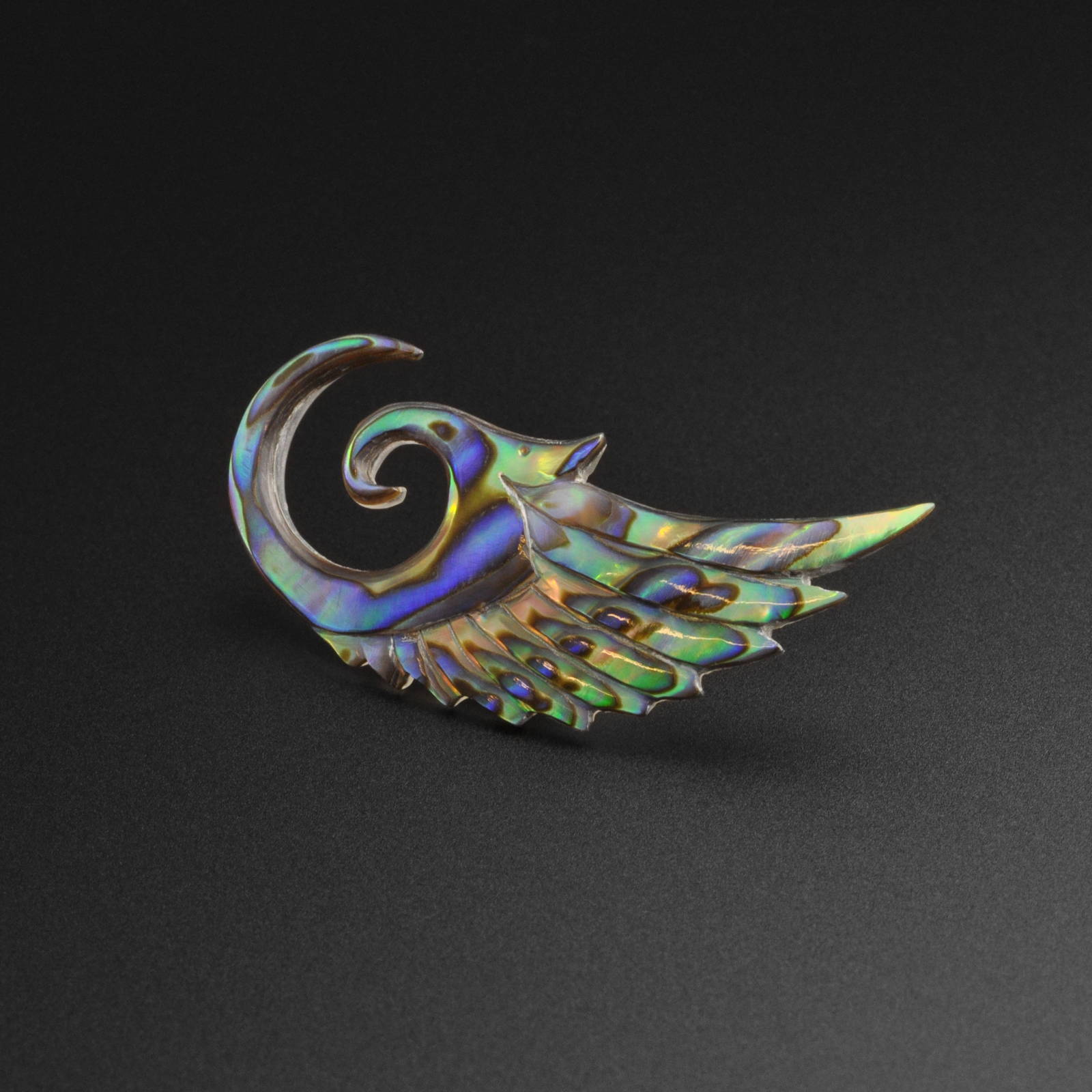 Abalone Ear Spiral Angel Wings